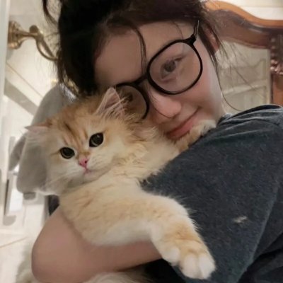 加菲猫国语